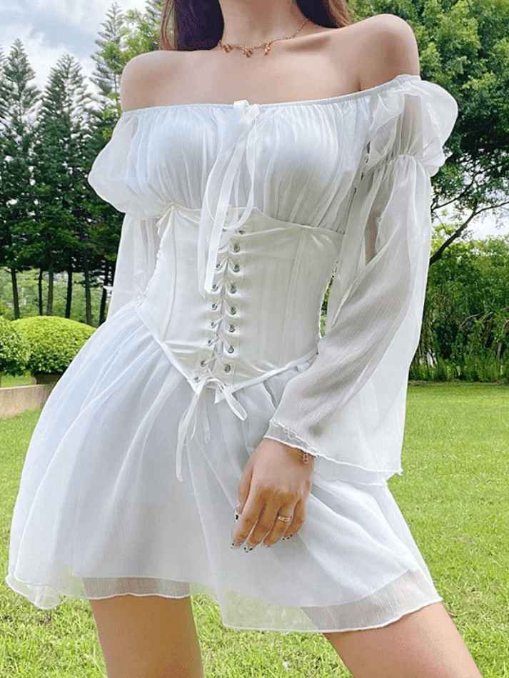 Long Sleeve Corset Mini Dress