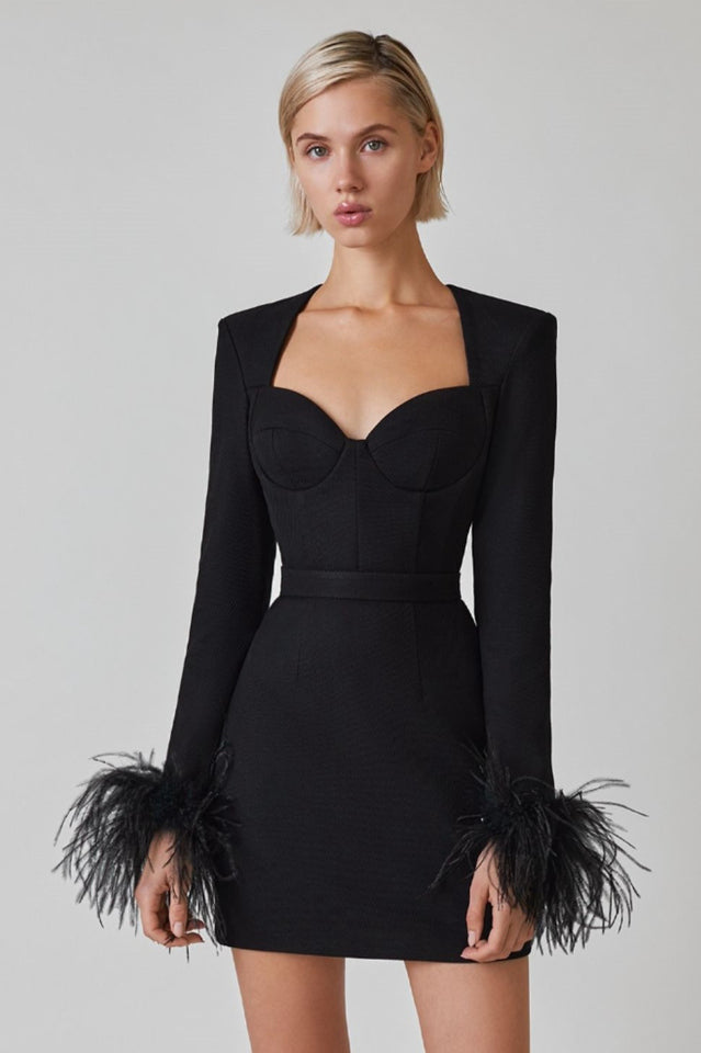 Feather Long Sleeve Bustier Dress