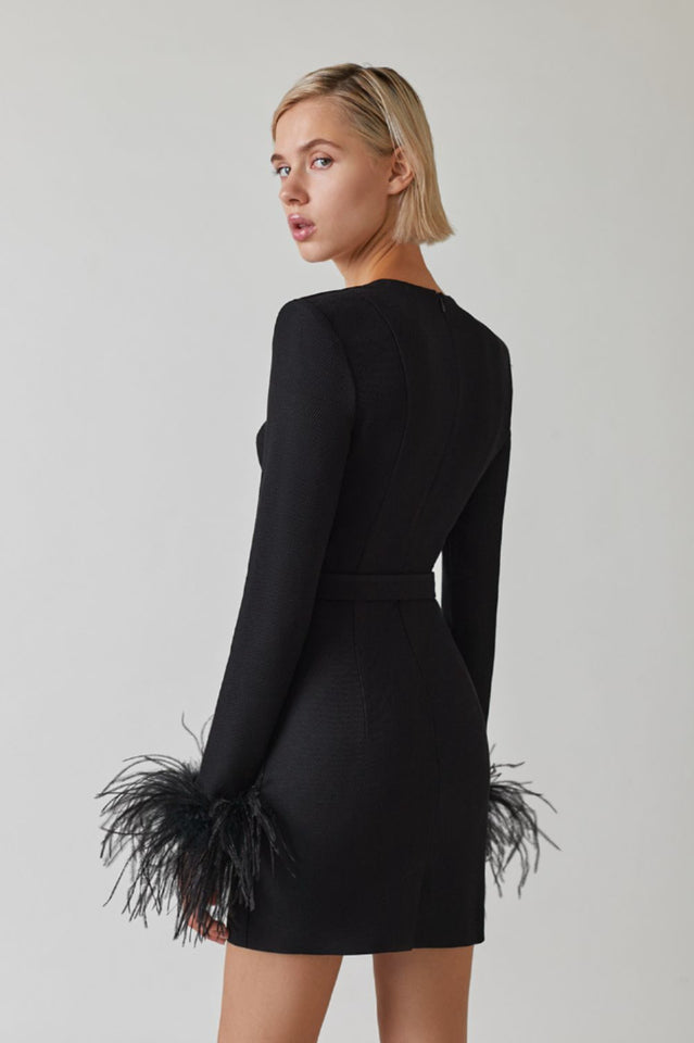 Feather Long Sleeve Bustier Dress