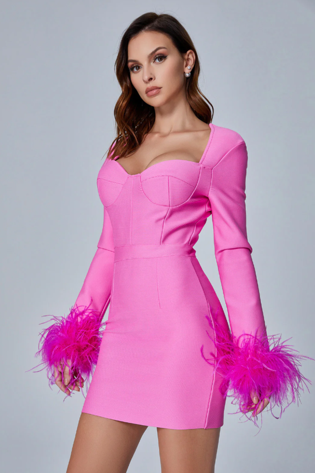 Feather Long Sleeve Bustier Dress